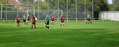 Bild 003